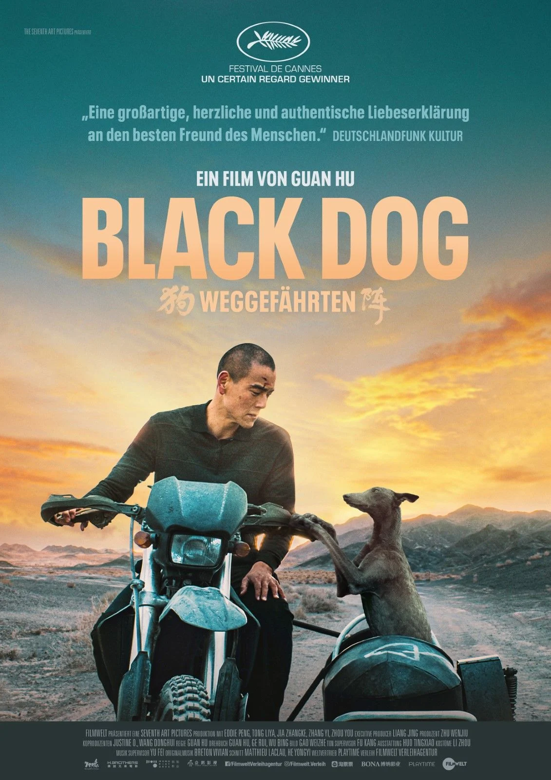 Hauptfoto Black Dog - Weggefährten